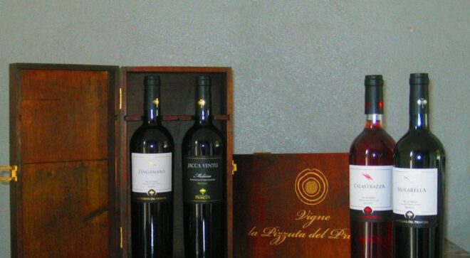 winery-vignoble-la-pizzuta-del-principe-6