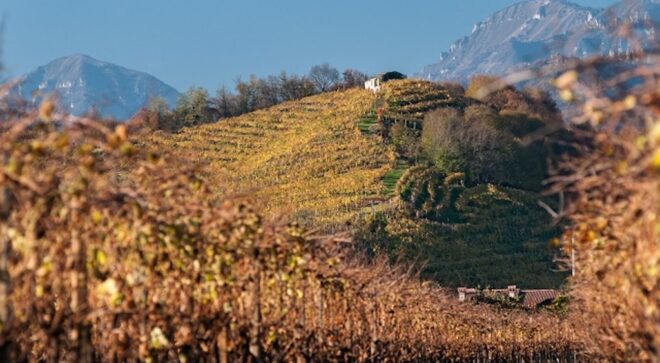 winery-vignoble-la-tordera-4