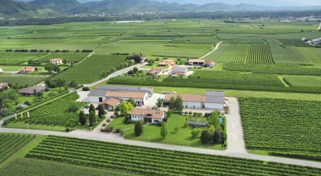 winery-vignoble-la-tordera-6