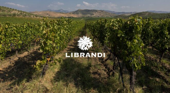 winery-vignoble-librandi-antonio-&-nicodemo-3