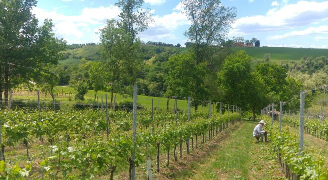 winery-vignoble-manaresi-9