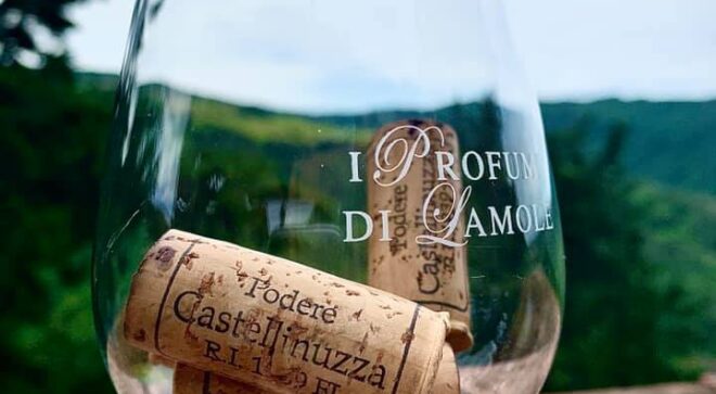 winery-vignoble-podere-castellinuzza-2
