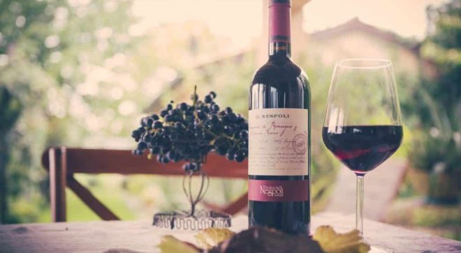 winery-vignoble-poderi-dal-nespoli-9