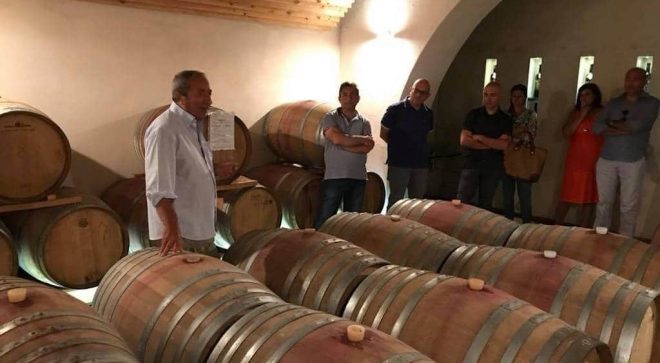 winery-vignoble-serracavallo-10