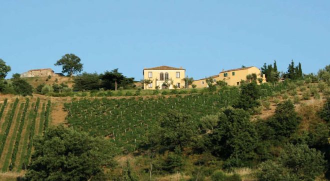 winery-vignoble-serracavallo