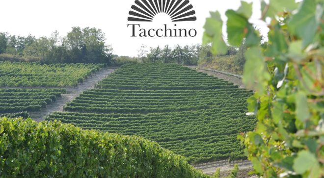 winery-vignoble-tacchino