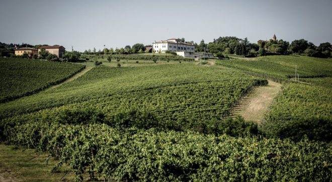 winery-vignoble-umberto-cesari-2