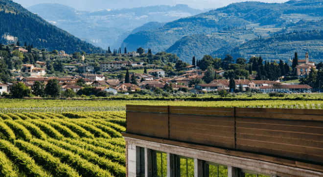 winery-vignoble-vignes-vineyards-buglioni (1)