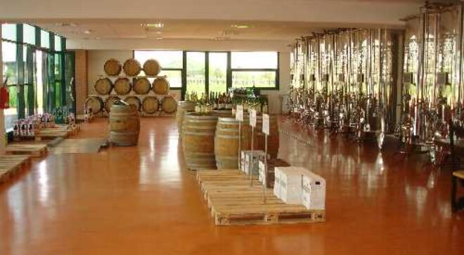 winery-vignoble-villa-degli-olmi-