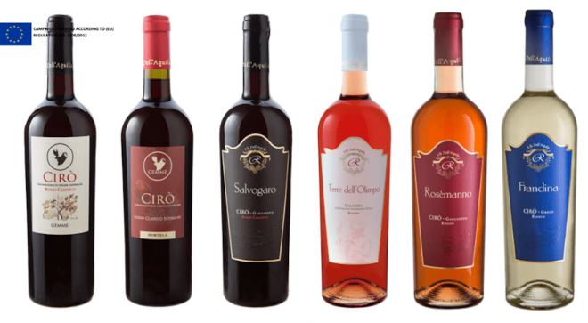 winery-vignoble-vini-dell-aquila-1