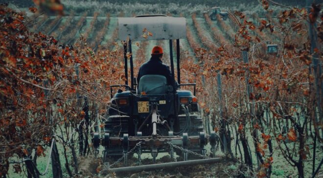 winery-vignoble-zonin-Impatto-in-viticultura